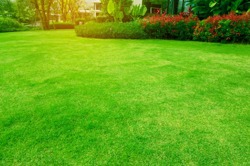 Lawn and Plant Care
