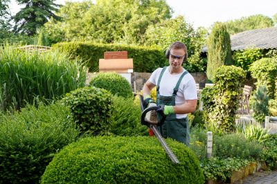 Tree and Plant Care Services