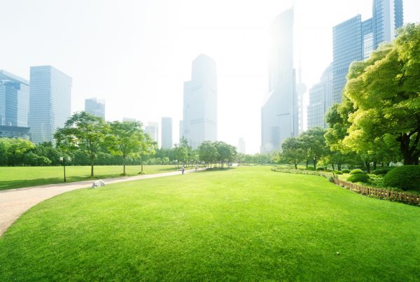 Commercial Landscape Maintenance in Bremerton