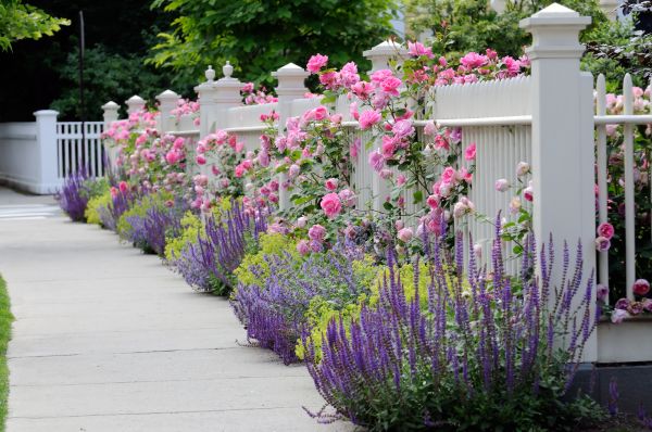 Garden Handyman Service in Bremerton