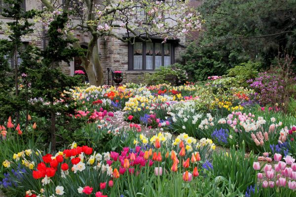 Garden Maintenance Service in Bremerton