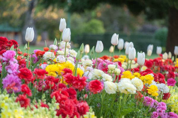 Gardening Service in Bremerton