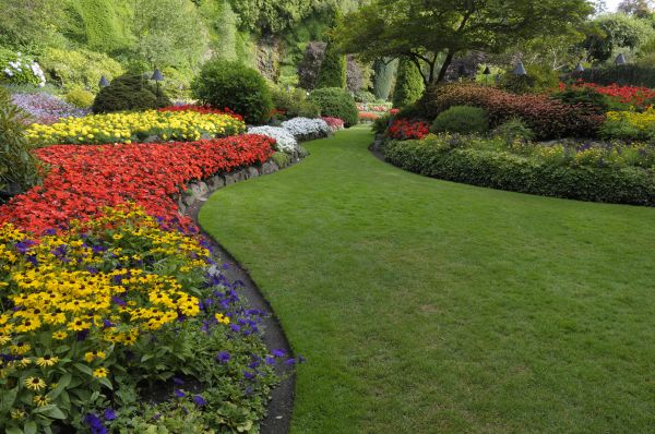 Landscaping Maintenance in Bremerton