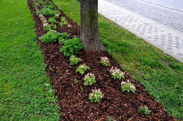 Mulch Replacement Service in Bremerton