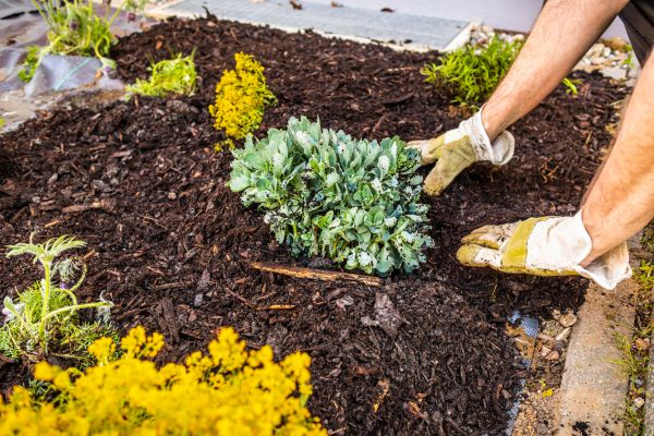Weeding And Mulching in Bremerton
