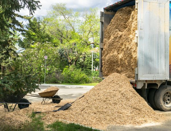 Wood Chips Delivery in Bremerton