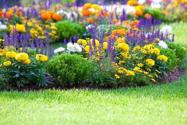 Garden Installation in Bremerton
