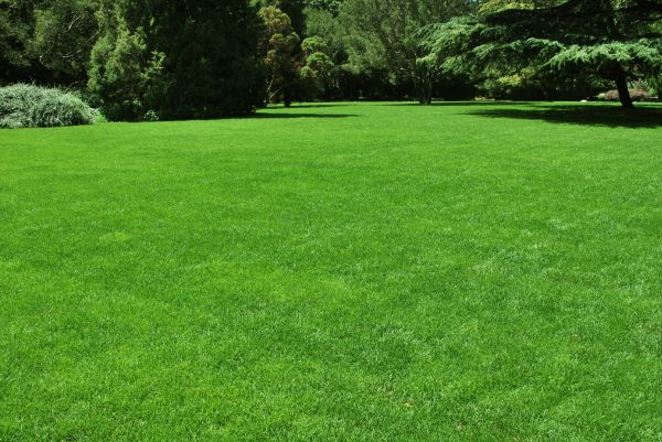 Lawn Landscaping in Bremerton