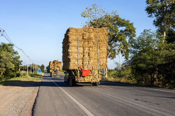 Pine Straw Delivery in Bremerton