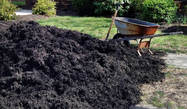 Black Mulch Delivery in Bremerton