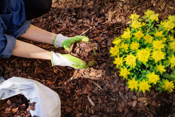 Garden Mulching in Bremerton
