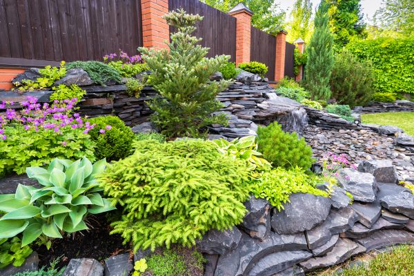 Landscape Remodeling in Bremerton