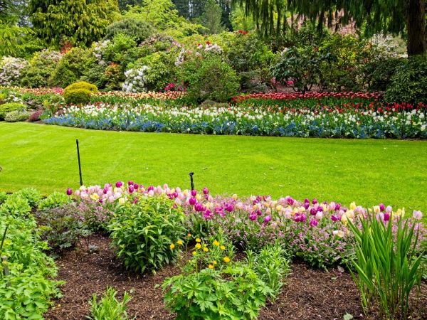 Residential Landscape Design in Bremerton