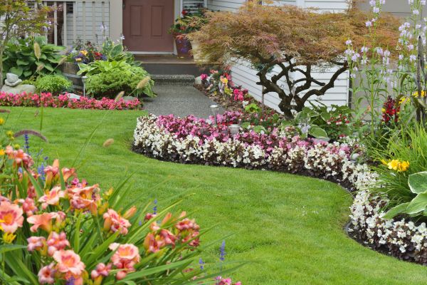 Perennial Landscaping in Bremerton