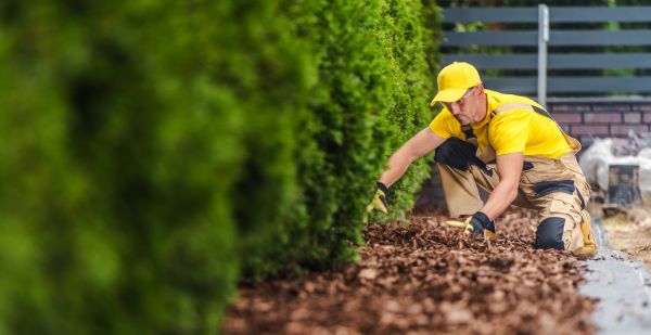 Cypress Mulch Installation in Bremerton