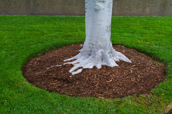 Brown Mulch Installation in Bremerton