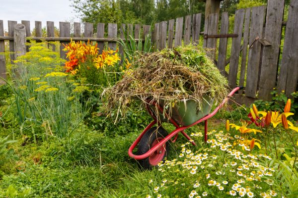 Garden Cleanup Service in Bremerton