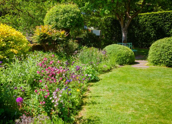 Yard Landscaping Service in Bremerton