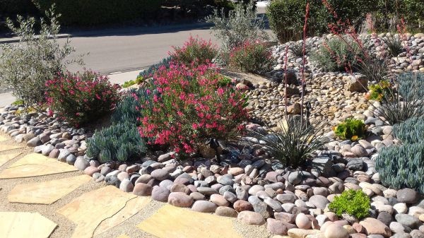 Xeriscape Landscaping in Bremerton