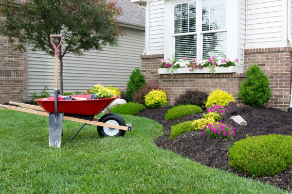 Tree And Shrub Planting in Bremerton