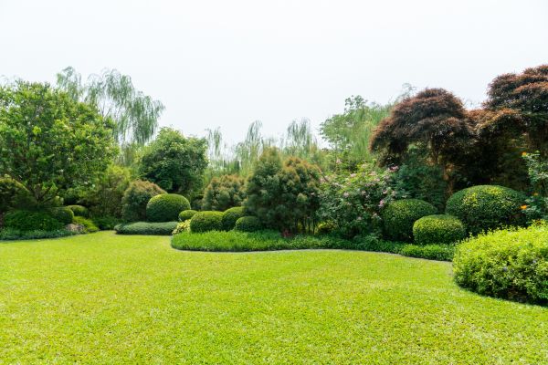 Tree Landscaping in Bremerton