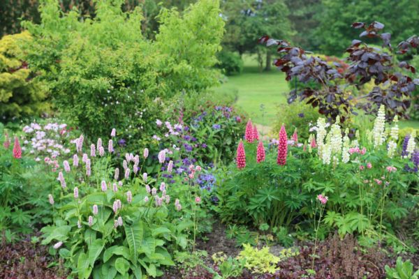 Flower Bed Planting in Bremerton