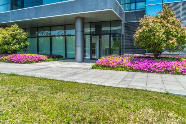 Commercial Gardening in Bremerton