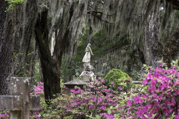 Cemetery Landscaping in Bremerton