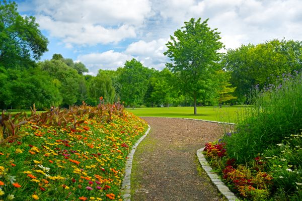 Park Landscaping in Bremerton