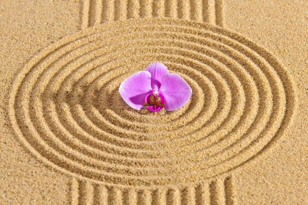 Sand Garden Landscaping in Bremerton