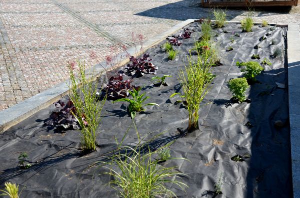 Landscape Fabric Installation in Bremerton