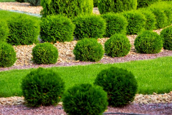 Bush Installation in Bremerton