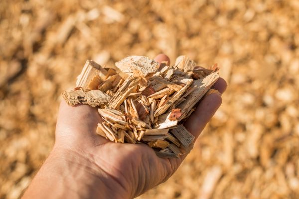 Wood Chips Spreading in Bremerton