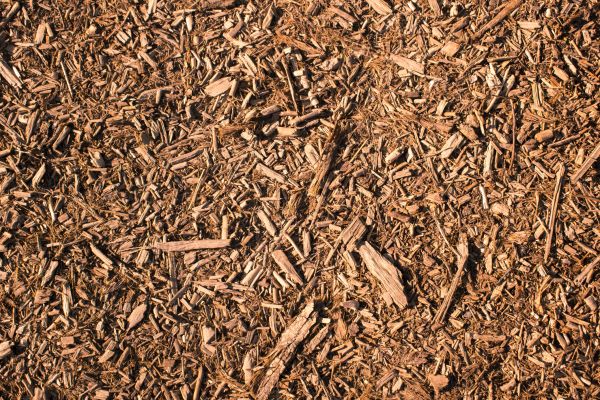 Wood Chips Removal in Bremerton
