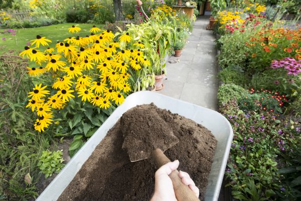 Topsoil Replacement in Bremerton