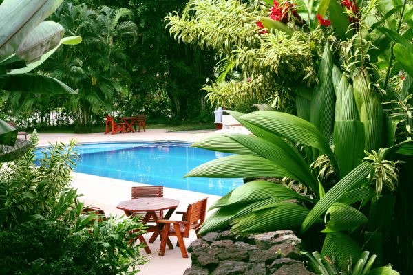 Pool Area Landscaping in Bremerton