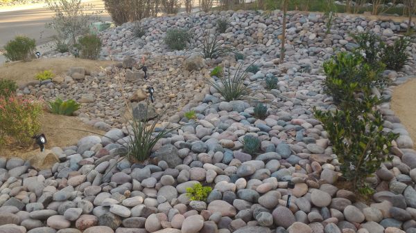 Yard Xeriscaping in Bremerton