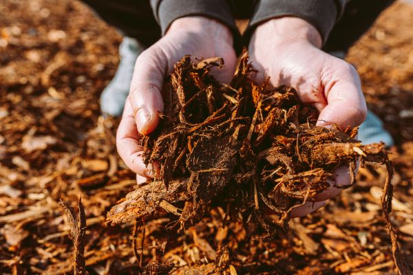 Bark Chips Delivery in Bremerton