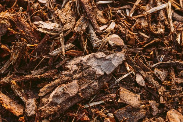 Bark Mulch Delivery in Bremerton
