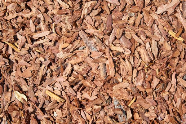 Pine Mulch Delivery in Bremerton