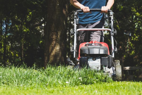 Garden Trimming Service in Bremerton