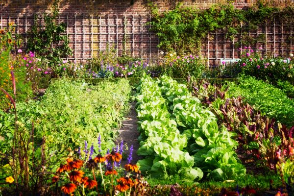 Garden Planting Service in Bremerton