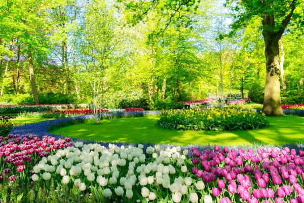 Flower Landscaping in Bremerton