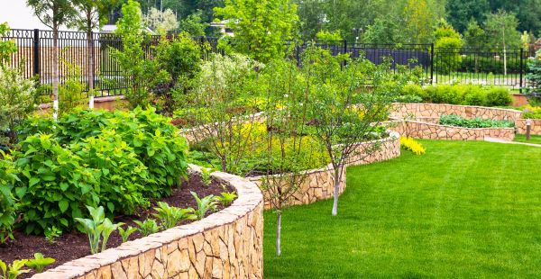 Yard Makeover Service in Bremerton