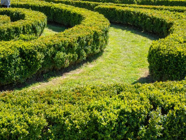 Bush Landscaping in Bremerton
