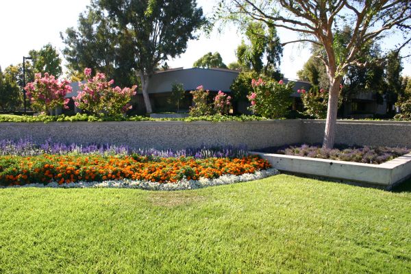 Commercial Landscape Service in Bremerton
