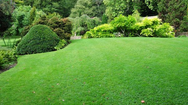 Commercial Landscape Design in Bremerton