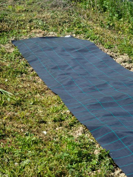 Weed Suppressant Installation in Bremerton