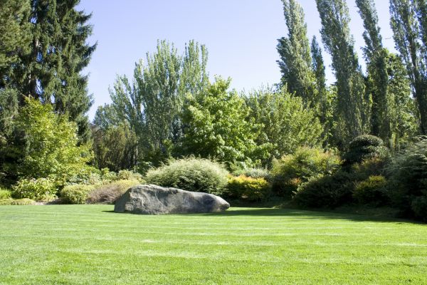 Yard Enlargement in Bremerton