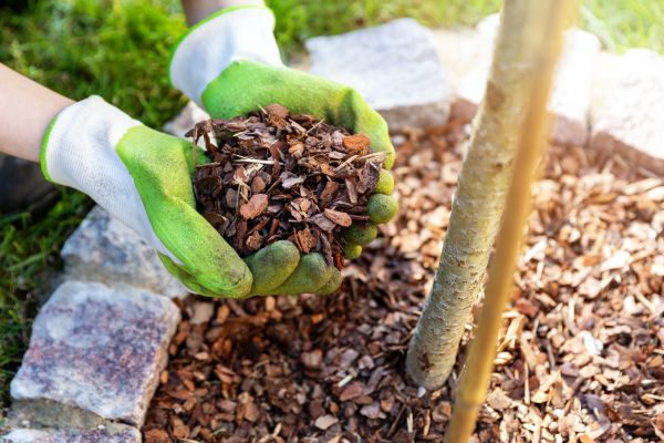 Tree Bark Delivery in Bremerton